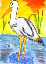 Koníčková Martina.jpg